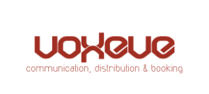 Voxeve logo website