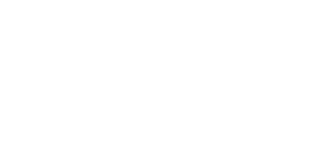 Voxeve logo wit website